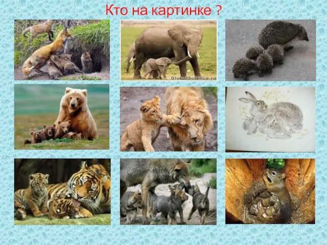 Кто на картинке ?