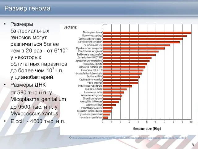 Размер генома Размеры бактериальных геномов могут различаться более чем в 20