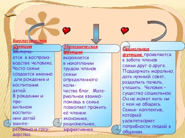 Функции семьи Биологическая функция заключа- ется в воспроиз- водстве человека. Часто