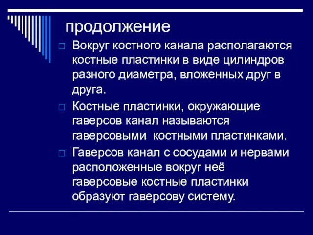 продолжение Вокруг костного канала располагаются костные пластинки в виде цилиндров разного