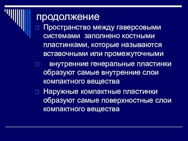 продолжение Пространство между гаверсовыми системами заполнено костными пластинками, которые называются вставочными