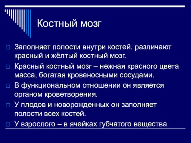 Костный мозг Заполняет полости внутри костей. различают красный и жёлтый костный