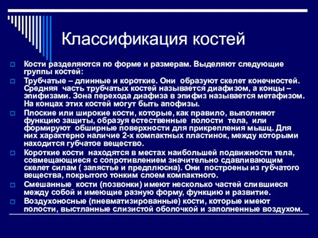 Классификация костей Кости разделяются по форме и размерам. Выделяют следующие группы