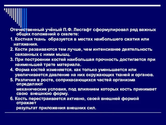 Отечественный учёный П.Ф. Лесгафт сформулировал ряд важных общих положений о скелете: