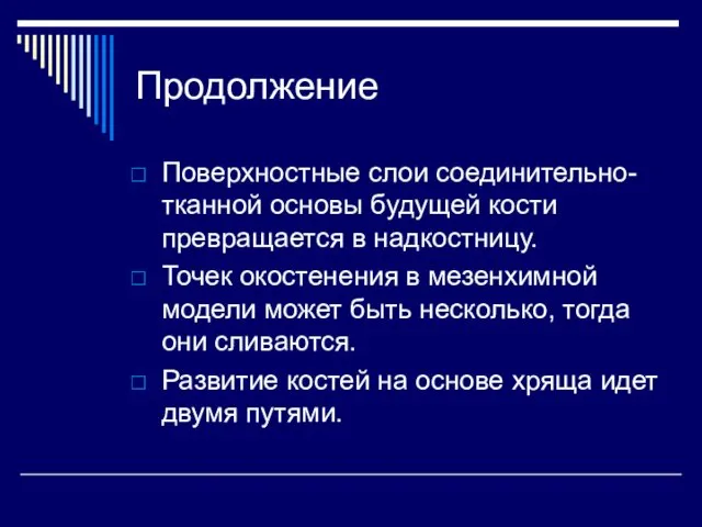 Продолжение Поверхностные слои соединительно-тканной основы будущей кости превращается в надкостницу. Точек