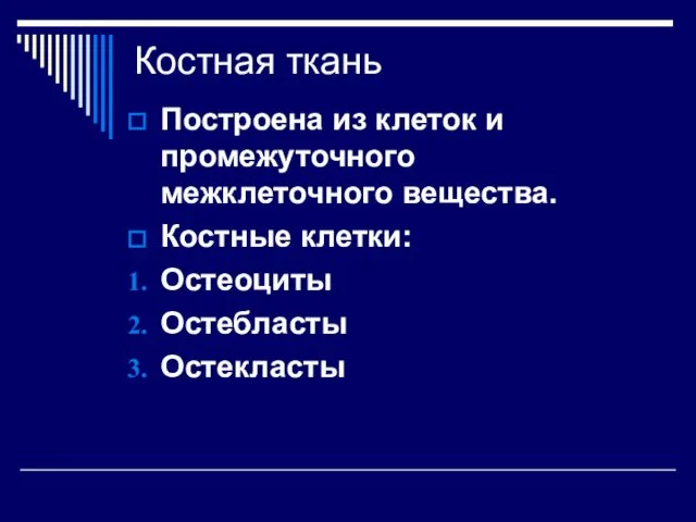 Костная ткань Построена из клеток и промежуточного межклеточного вещества. Костные клетки: Остеоциты Остебласты Остекласты