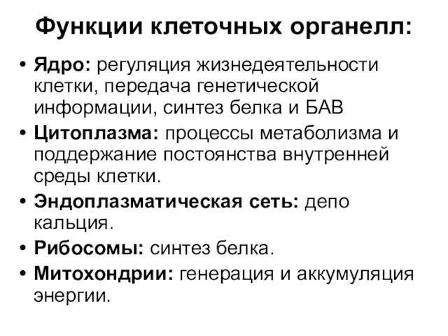 Функции клеточных органелл: Ядро: регуляция жизнедеятельности клетки, передача генетической информации, синтез