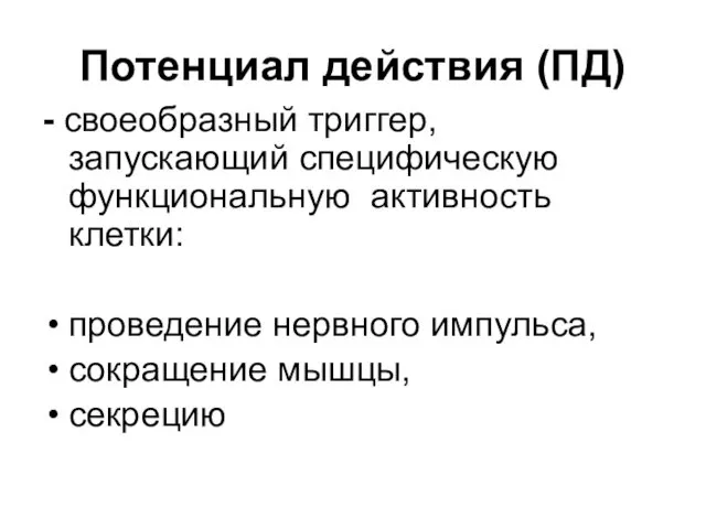 - своеобразный триггер, запускающий специфическую функциональную активность клетки: проведение нервного импульса,