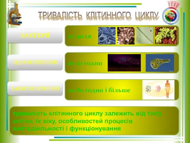 БАКТЕРІЇ ОДНОКЛІТИННІ БАГАТОКЛІТИННІ 20-30 хв 10-20 годин ТРИВАЛІСТЬ КЛІТИННОГО ЦИКЛУ 20-80