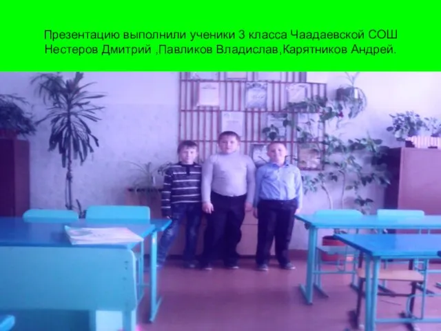 Презентацию выполнили ученики 3 класса Чаадаевской СОШ Нестеров Дмитрий ,Павликов Владислав,Карятников Андрей.