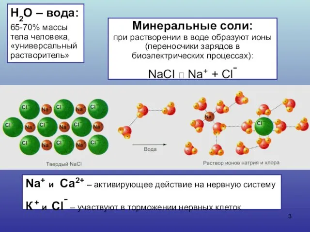 Н2О – вода: 65-70% массы тела человека, «универсальный растворитель» Минеральные соли: