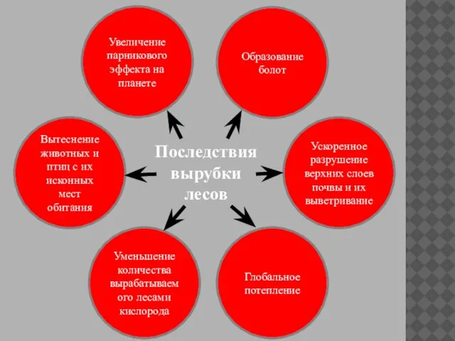 Последствия вырубки лесов Вытеснение животных и птиц с их исконных мест