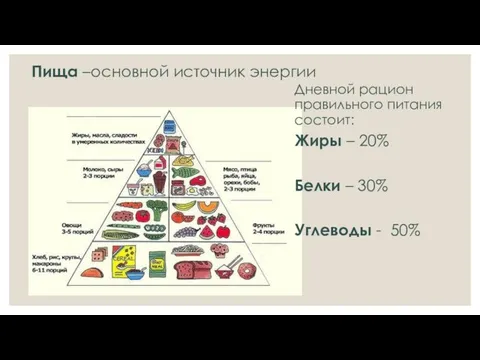 Пища –основной источник энергии Дневной рацион правильного питания состоит: Жиры –