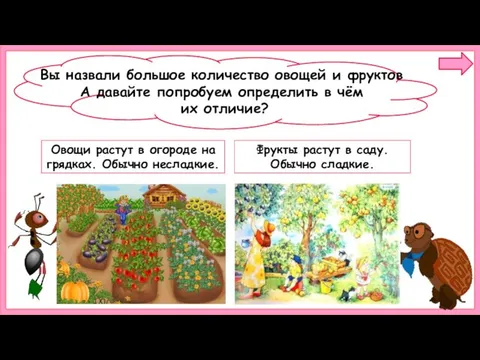 Овощи растут в огороде на грядках. Обычно несладкие. Фрукты растут в саду. Обычно сладкие.