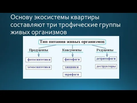 Основу экосистемы квартиры составляют три трофические группы живых организмов