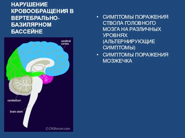 НАРУШЕНИЕ КРОВООБРАЩЕНИЯ В ВЕРТЕБРАЛЬНО-БАЗИЛЯРНОМ БАССЕЙНЕ СИМПТОМЫ ПОРАЖЕНИЯ СТВОЛА ГОЛОВНОГО МОЗГА НА