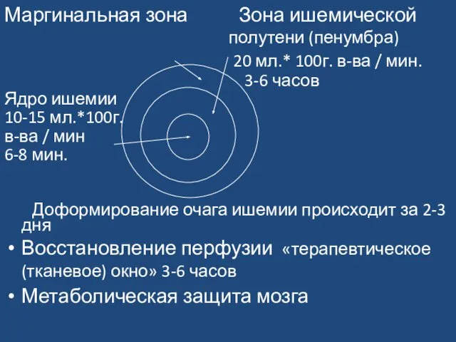 Маргинальная зона Зона ишемической полутени (пенумбра) 20 мл.* 100г. в-ва /