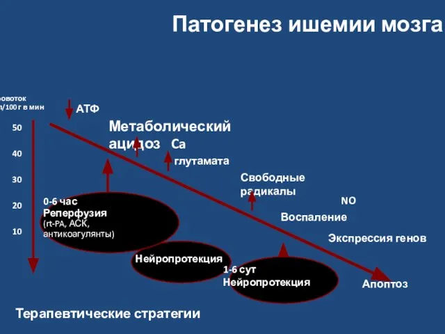 Патогенез ишемии мозга Кровоток мл/100 г в мин АТФ Метаболический ацидоз