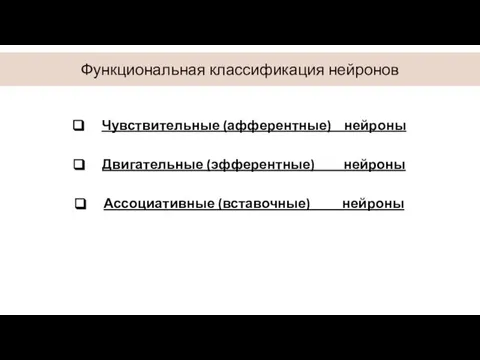 Функциональная классификация нейронов Чувствительные (афферентные) нейроны Двигательные (эфферентные) нейроны Ассоциативные (вставочные) нейроны