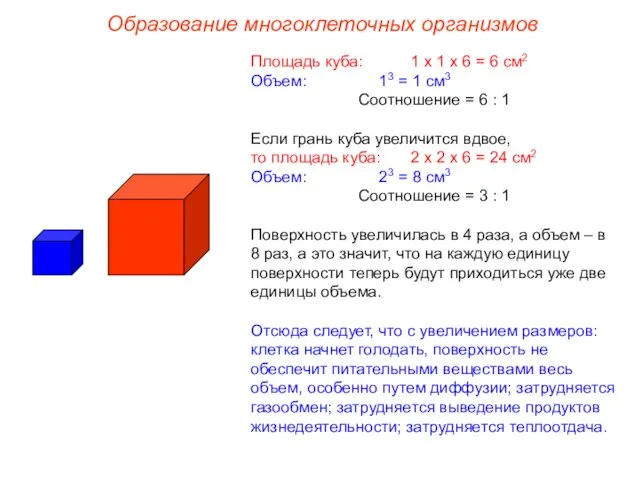 Площадь куба: 1 х 1 х 6 = 6 см2 Объем: