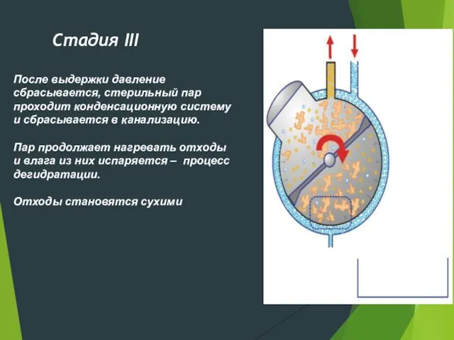 Стадия III После выдержки давление сбрасывается, стерильный пар проходит конденсационную систему