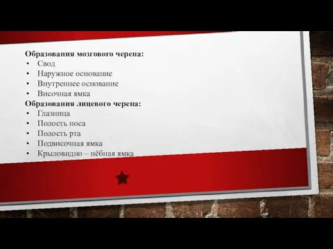 4. ЧЕРЕП В ЦЕЛОМ Образования мозгового черепа: Свод Наружное основание Внутреннее