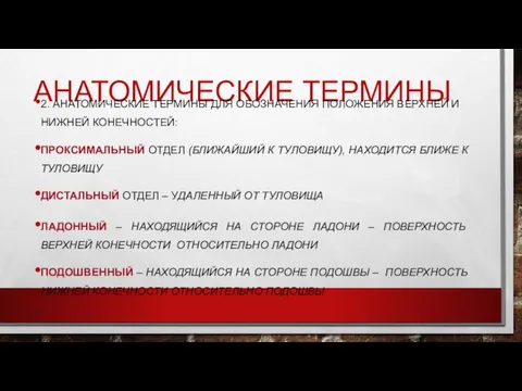 АНАТОМИЧЕСКИЕ ТЕРМИНЫ 2. АНАТОМИЧЕСКИЕ ТЕРМИНЫ ДЛЯ ОБОЗНАЧЕНИЯ ПОЛОЖЕНИЯ ВЕРХНЕЙ И НИЖНЕЙ