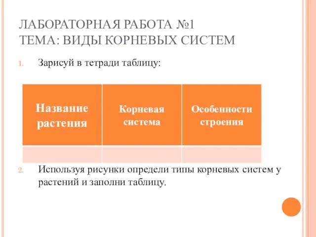 ЛАБОРАТОРНАЯ РАБОТА №1 ТЕМА: ВИДЫ КОРНЕВЫХ СИСТЕМ Зарисуй в тетради таблицу: