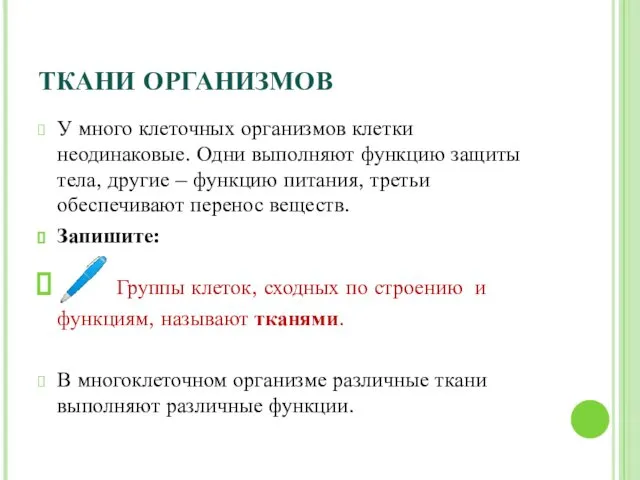 ТКАНИ ОРГАНИЗМОВ У много клеточных организмов клетки неодинаковые. Одни выполняют функцию