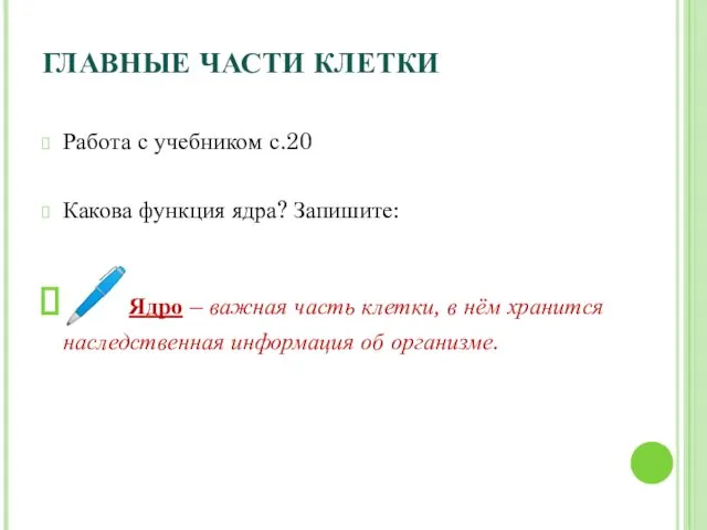 ГЛАВНЫЕ ЧАСТИ КЛЕТКИ Работа с учебником с.20 Какова функция ядра? Запишите: