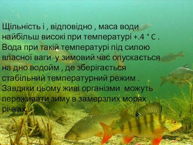 Щільність і , відповідно , маса води найбільш високі при температурі