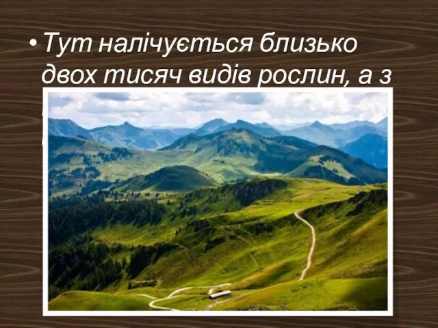 Тут налічується близько двох тисяч видів рослин, а з тварин - 74 види тільки ссавців.