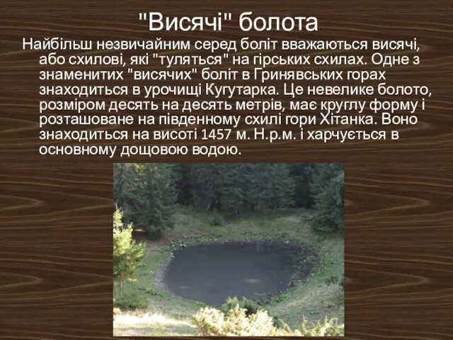 "Висячі" болота Найбільш незвичайним серед боліт вважаються висячі, або схилові, які