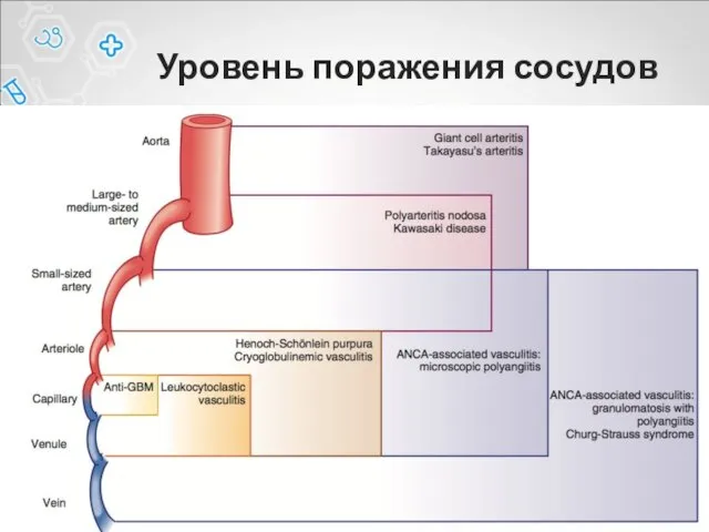 Уровень поражения сосудов