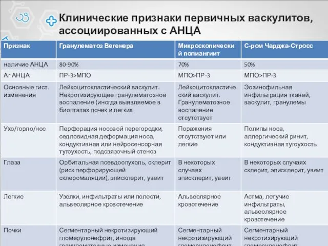 Клинические признаки первичных васкулитов, ассоциированных с АНЦА