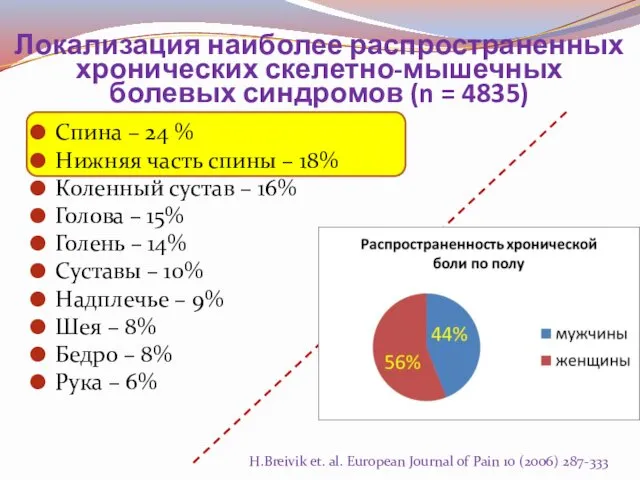 Локализация наиболее распространенных хронических скелетно-мышечных болевых синдромов (n = 4835) Спина