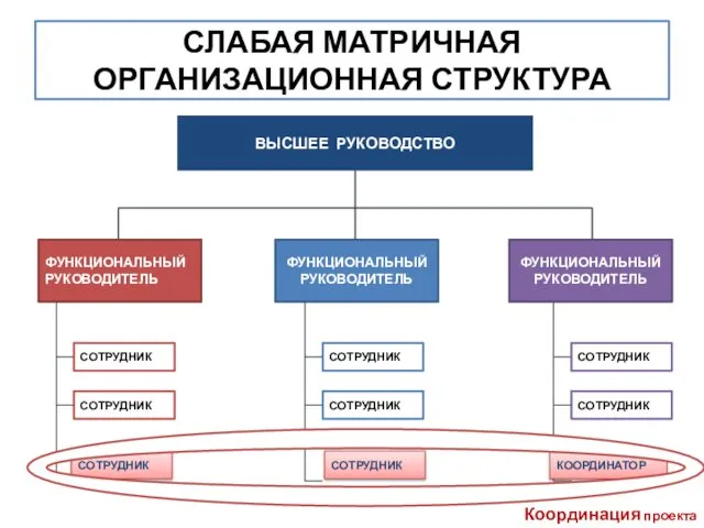 Координация проекта СЛАБАЯ МАТРИЧНАЯ ОРГАНИЗАЦИОННАЯ СТРУКТУРА