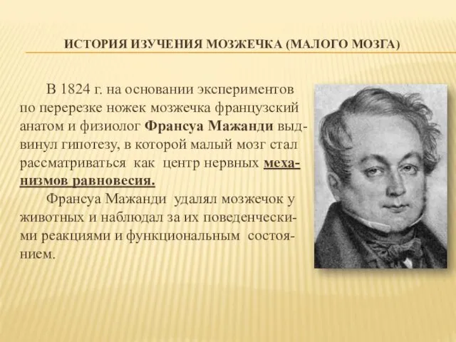 ИСТОРИЯ ИЗУЧЕНИЯ МОЗЖЕЧКА (МАЛОГО МОЗГА) В 1824 г. на основании экспериментов