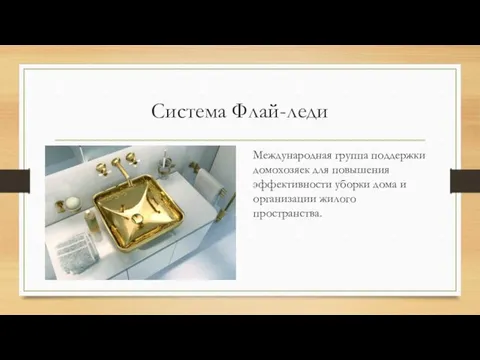 Система Флай-леди Международная группа поддержки домохозяек для повышения эффективности уборки дома и организации жилого пространства.