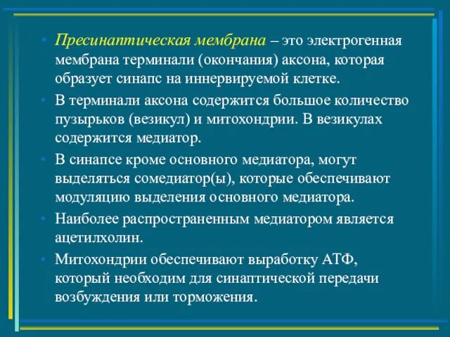 Пресинаптическая мембрана – это электрогенная мембрана терминали (окончания) аксона, которая образует