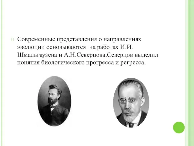 Современные представления о направлениях эволюции основываются на работах И.И.Шмальгаузена и А.Н.Северцова.Северцов