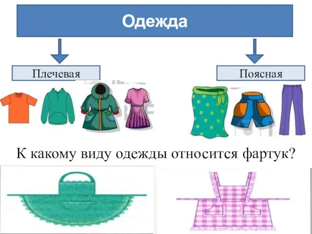 Одежда Плечевая Поясная К какому виду одежды относится фартук?