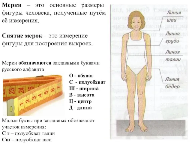 Мерки – это основные размеры фигуры человека, полученные путём её измерения.