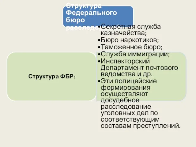 Структура Федерального бюро расследований Структура ФБР: Секретная служба казначейства; Бюро наркотиков;