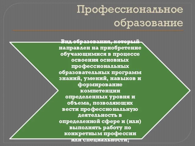 Профессиональное образование