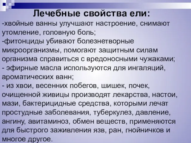 Лечебные свойства ели: -хвойные ванны улучшают настроение, снимают утомление, головную боль;