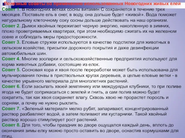 Полезные советы по применению использованных Новогодних живых елей Совет 1. В