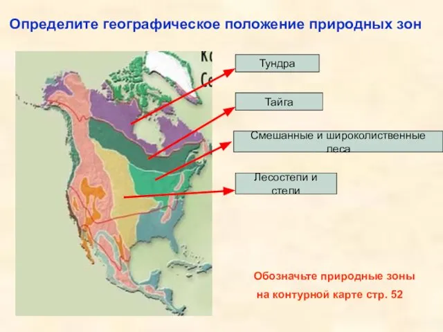 Определите географическое положение природных зон Тундра Тайга Смешанные и широколиственные леса