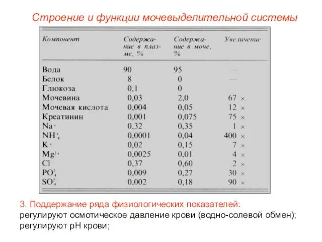 Строение и функции мочевыделительной системы 3. Поддержание ряда физиологических показателей: регулируют