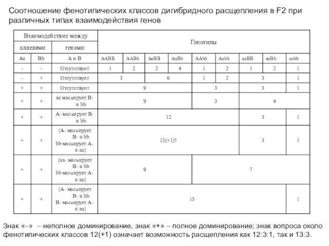 Соотношение фенотипических классов дигибридного расщепления в F2 при различных типах взаимодействия